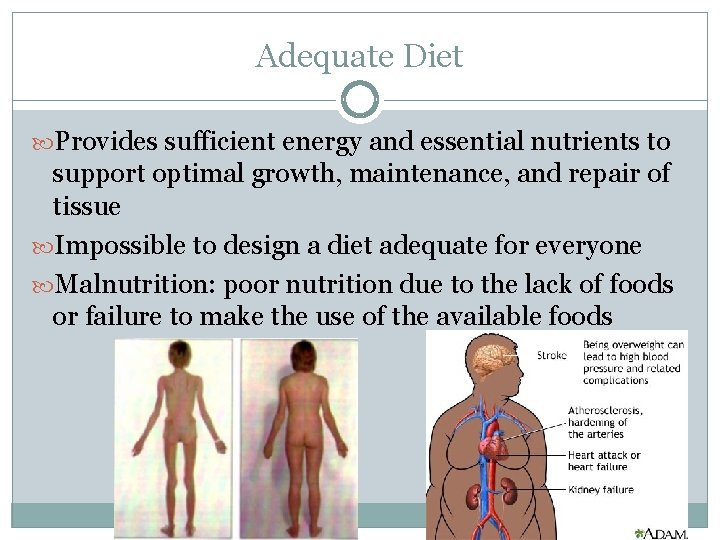 Adequate Diet Provides sufficient energy and essential nutrients to support optimal growth, maintenance, and