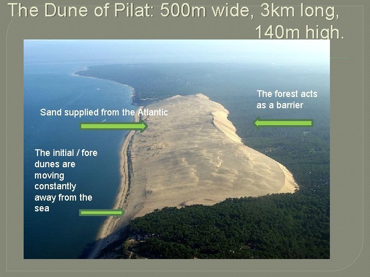 The Dune of Pilat: 500 m wide, 3 km long, 140 m high. Sand