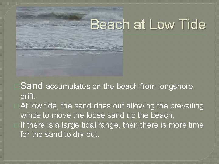 Beach at Low Tide �Sand accumulates on the beach from longshore drift. � At