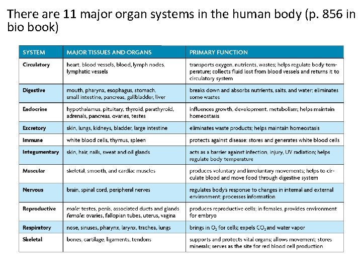 There are 11 major organ systems in the human body (p. 856 in bio