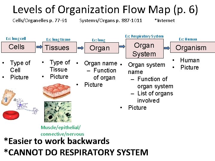 Levels of Organization Flow Map (p. 6) Cells/Organelles p. 77 -91 Systems/Organs p. 887