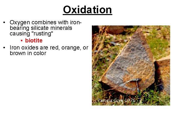 Oxidation • Oxygen combines with ironbearing silicate minerals causing "rusting" • biotite • Iron