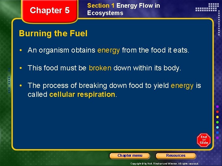 Chapter 5 Section 1 Energy Flow in Ecosystems Burning the Fuel • An organism