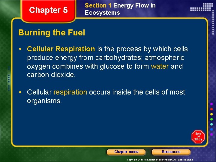 Chapter 5 Section 1 Energy Flow in Ecosystems Burning the Fuel • Cellular Respiration