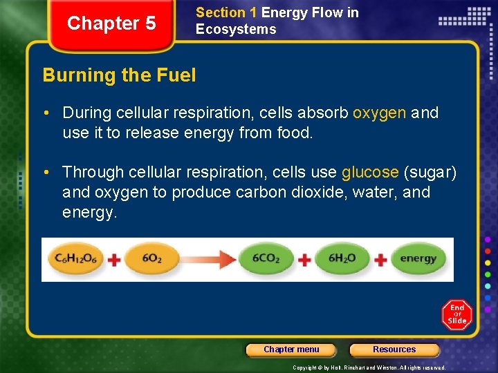 Chapter 5 Section 1 Energy Flow in Ecosystems Burning the Fuel • During cellular