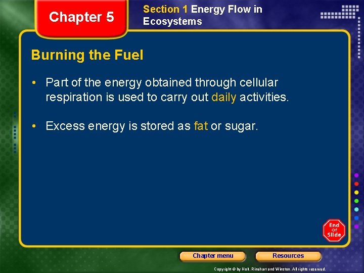 Chapter 5 Section 1 Energy Flow in Ecosystems Burning the Fuel • Part of