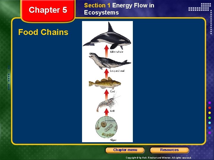 Chapter 5 Section 1 Energy Flow in Ecosystems Food Chains Chapter menu Resources Copyright