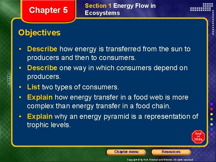 Chapter 5 Section 1 Energy Flow in Ecosystems Objectives • Describe how energy is
