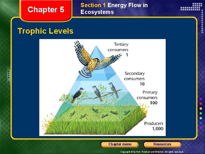 Chapter 5 Section 1 Energy Flow in Ecosystems Trophic Levels Chapter menu Resources Copyright
