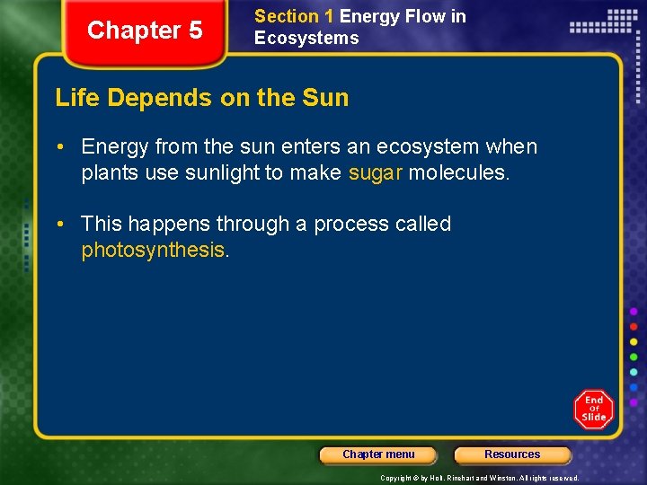 Chapter 5 Section 1 Energy Flow in Ecosystems Life Depends on the Sun •