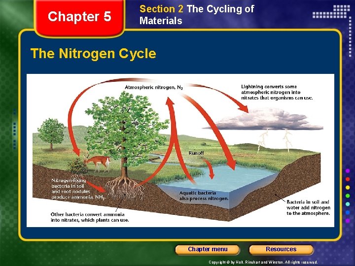Chapter 5 Section 2 The Cycling of Materials The Nitrogen Cycle Chapter menu Resources