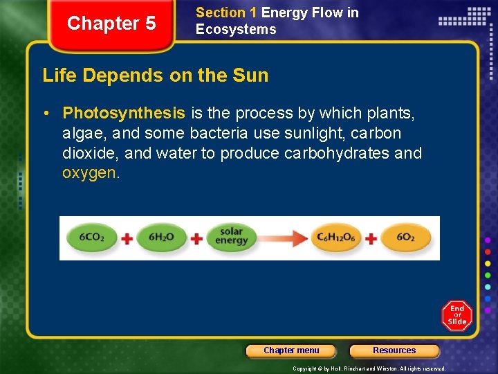 Chapter 5 Section 1 Energy Flow in Ecosystems Life Depends on the Sun •