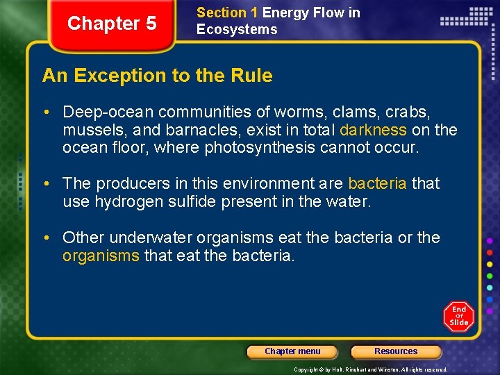 Chapter 5 Section 1 Energy Flow in Ecosystems An Exception to the Rule •