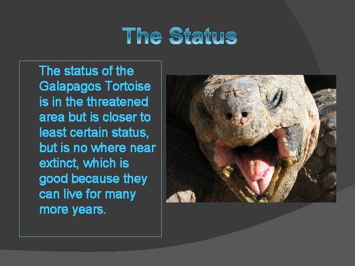 The status of the Galapagos Tortoise is in the threatened area but is closer