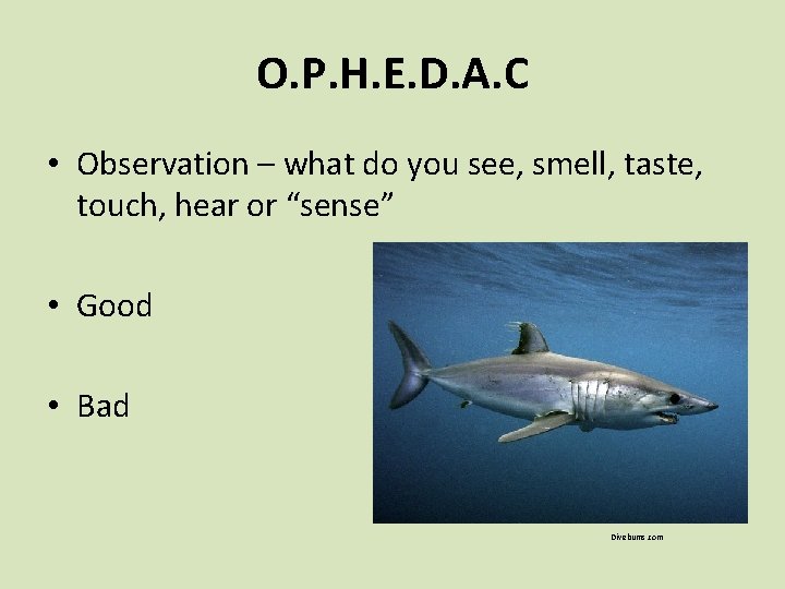 O. P. H. E. D. A. C • Observation – what do you see,