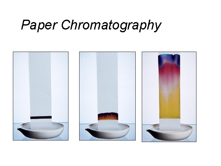 Paper Chromatography 