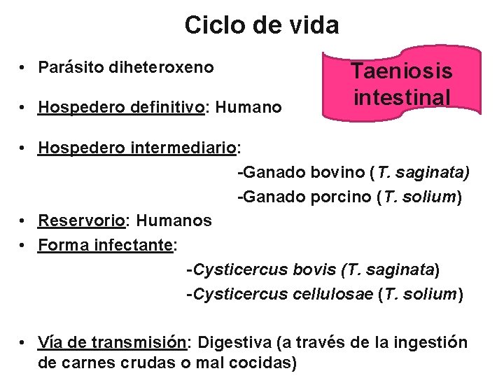 Ciclo de vida • Parásito diheteroxeno • Hospedero definitivo: Humano Taeniosis intestinal • Hospedero