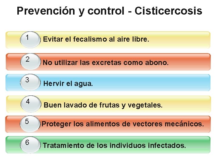 Prevención y control - Cisticercosis 1 Evitar el fecalismo al aire libre. 1 2