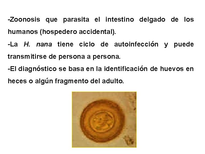 -Zoonosis que parasita el intestino delgado de los humanos (hospedero accidental). -La H. nana