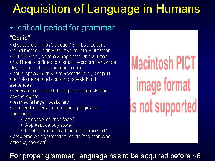 Acquisition of Language in Humans • critical period for grammar “Genie” • discovered in