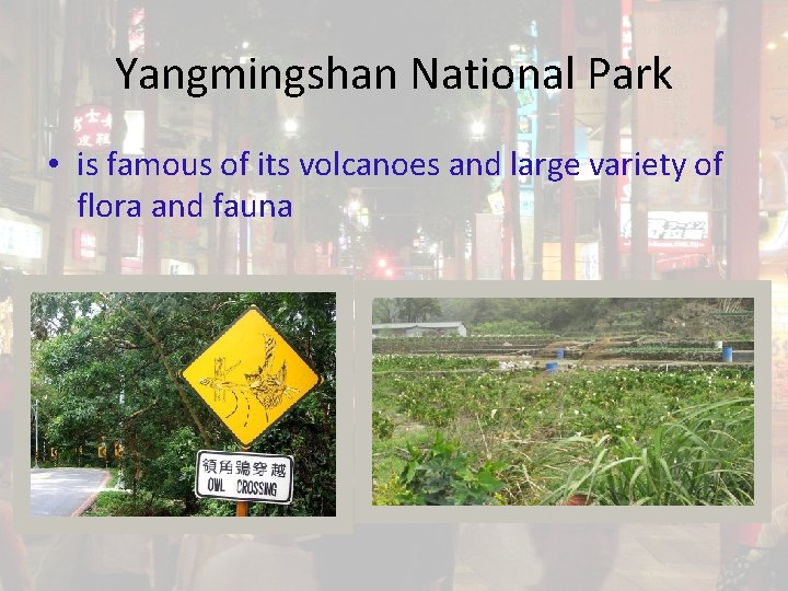 Yangmingshan National Park • is famous of its volcanoes and large variety of flora