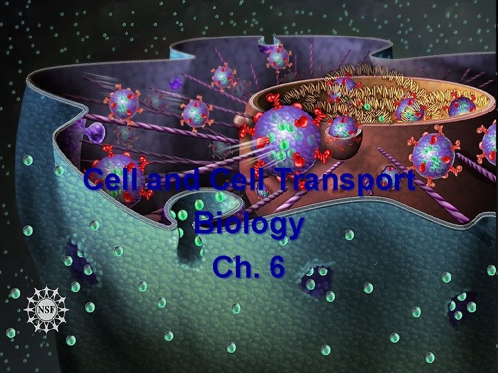 Cells & Cell Transport Cell and Cell Transport Biology Ch. 6 