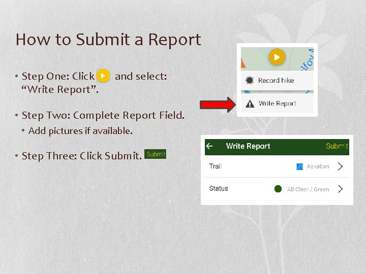 How to Submit a Report • Step One: Click “Write Report”. and select: •