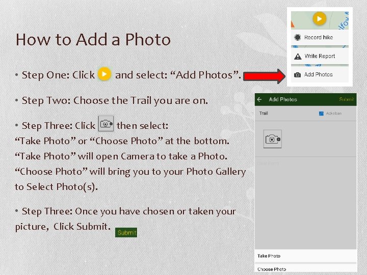 How to Add a Photo • Step One: Click and select: “Add Photos”. •