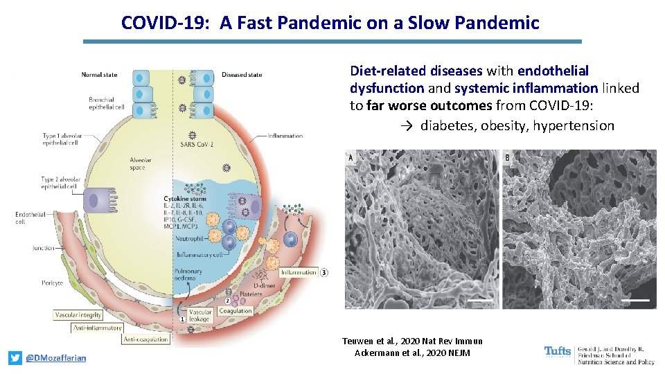 COVID-19: A Fast Pandemic on a Slow Pandemic Diet-related diseases with endothelial dysfunction and