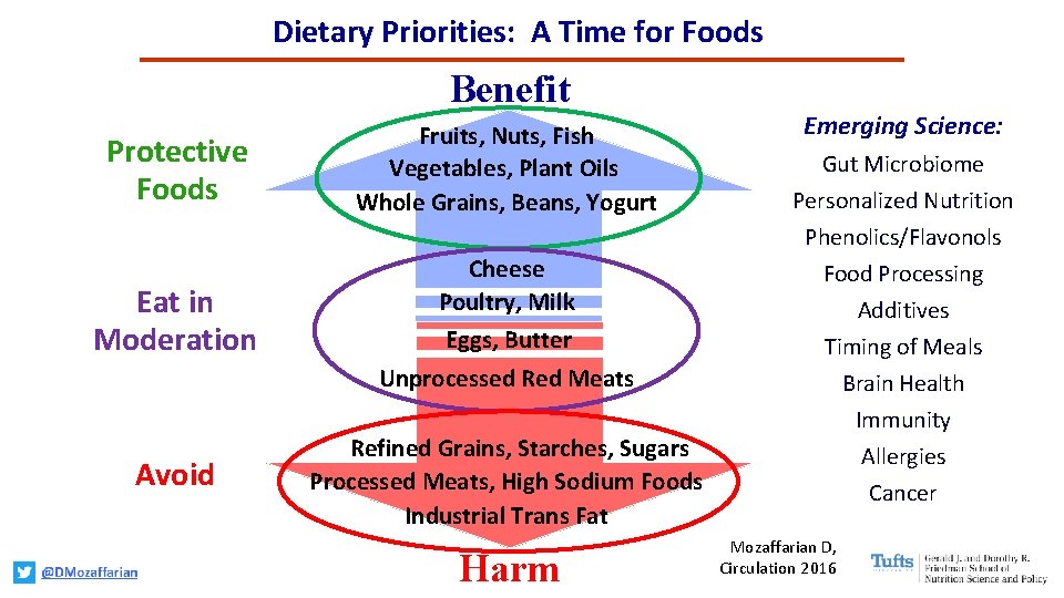 Dietary Priorities: A Time for Foods Benefit Protective Foods Fruits, Nuts, Fish Vegetables, Plant