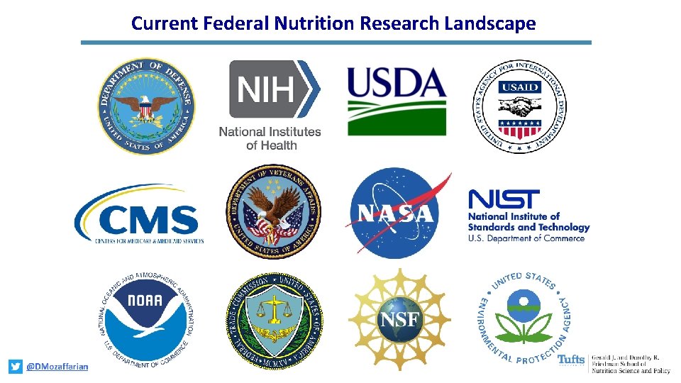 Current Federal Nutrition Research Landscape 