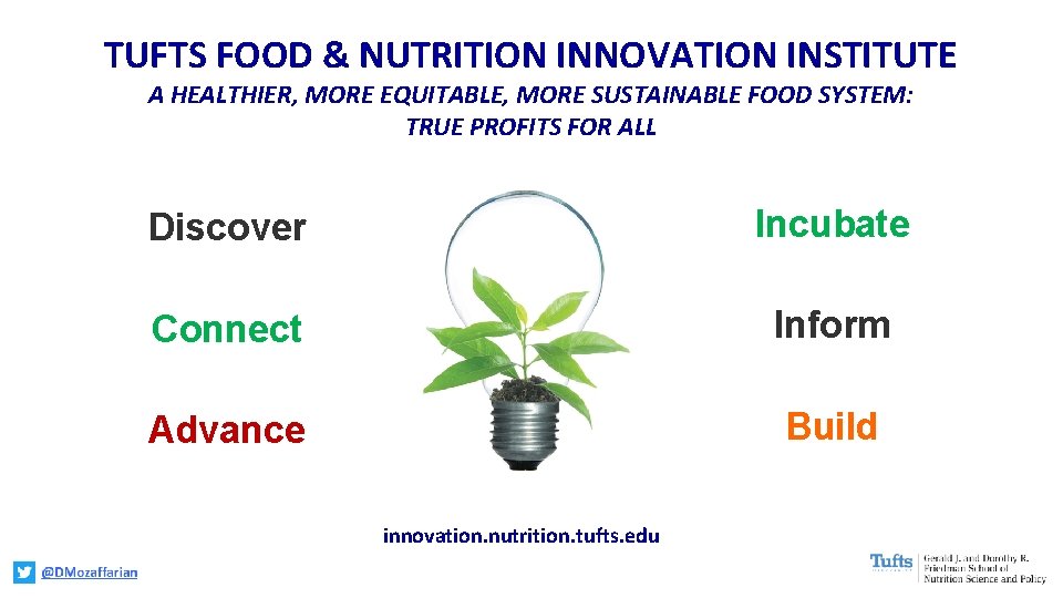 TUFTS FOOD & NUTRITION INNOVATION INSTITUTE A HEALTHIER, MORE EQUITABLE, MORE SUSTAINABLE FOOD SYSTEM: