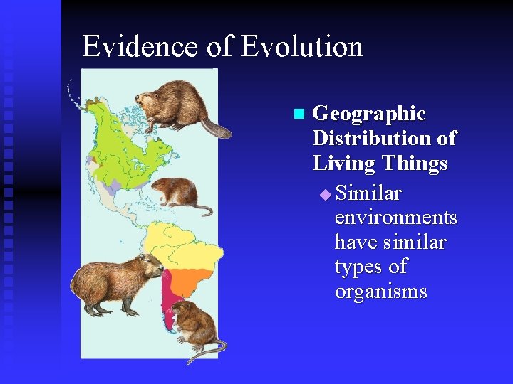 Evidence of Evolution n Geographic Distribution of Living Things u Similar environments have similar
