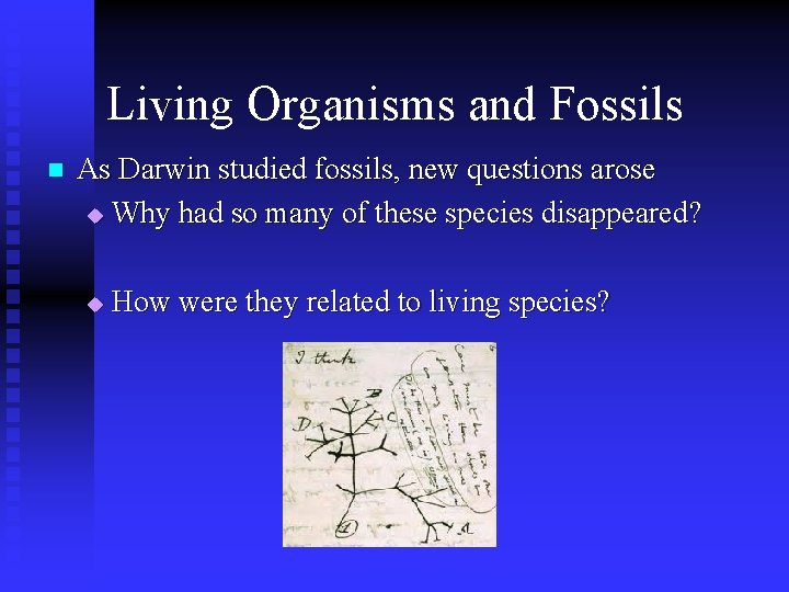 Living Organisms and Fossils n As Darwin studied fossils, new questions arose u Why