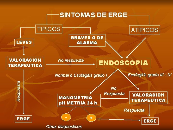 SINTOMAS DE ERGE TIPICOS ATIPICOS GRAVES O DE ALARMA LEVES VALORACION TERAPEUTICA ENDOSCOPIA No