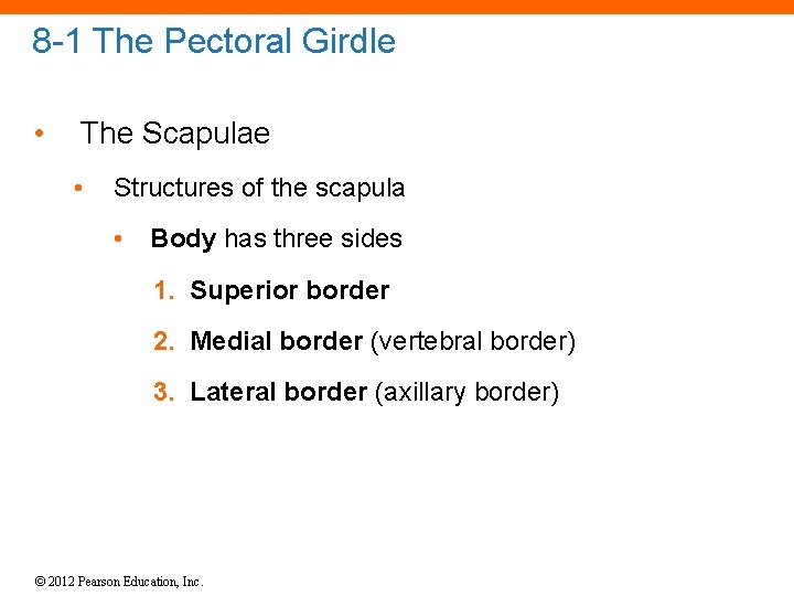 8 -1 The Pectoral Girdle • The Scapulae • Structures of the scapula •