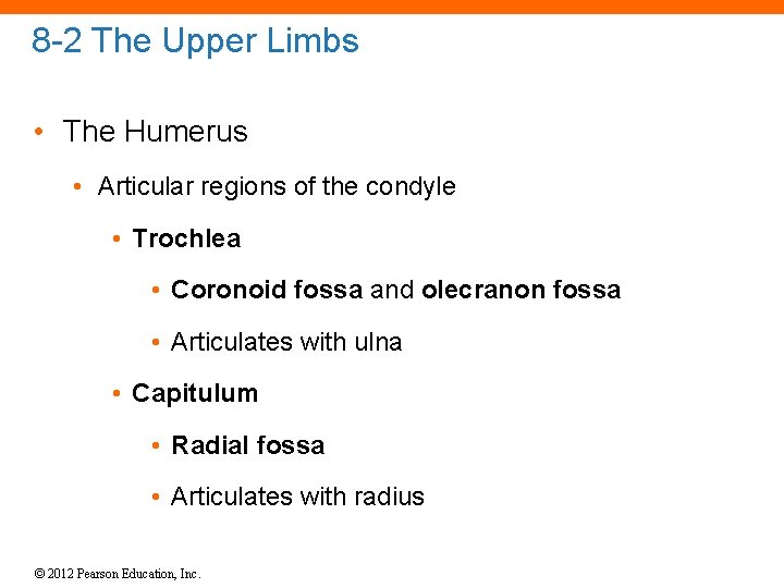 8 -2 The Upper Limbs • The Humerus • Articular regions of the condyle