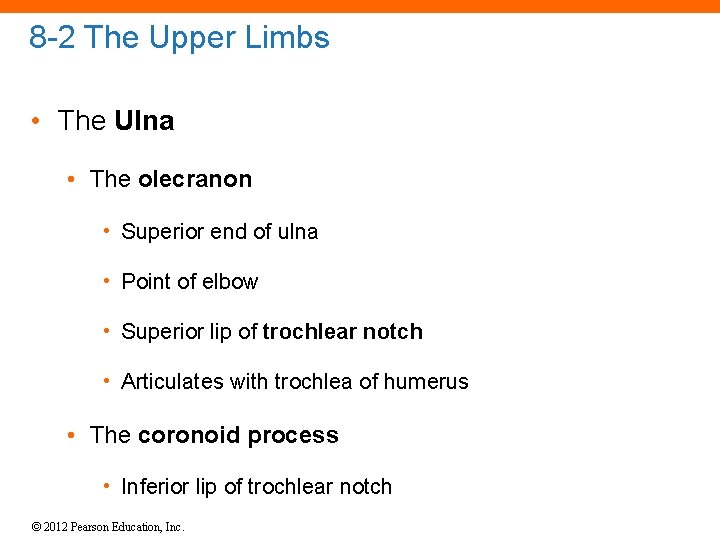 8 -2 The Upper Limbs • The Ulna • The olecranon • Superior end