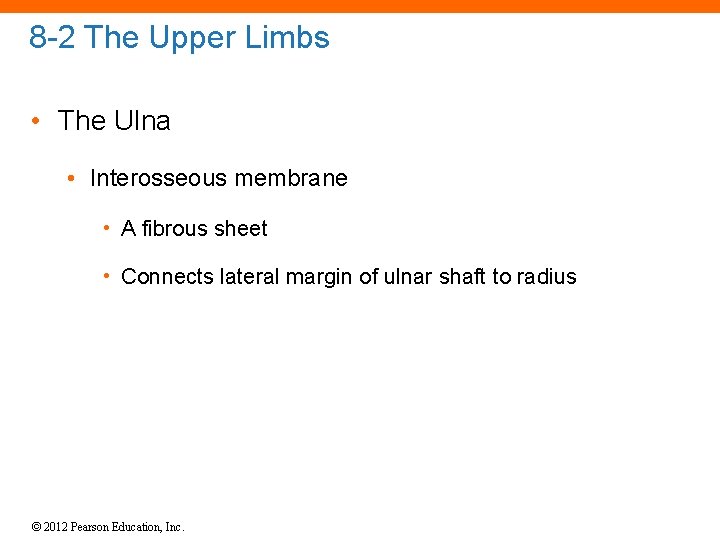 8 -2 The Upper Limbs • The Ulna • Interosseous membrane • A fibrous