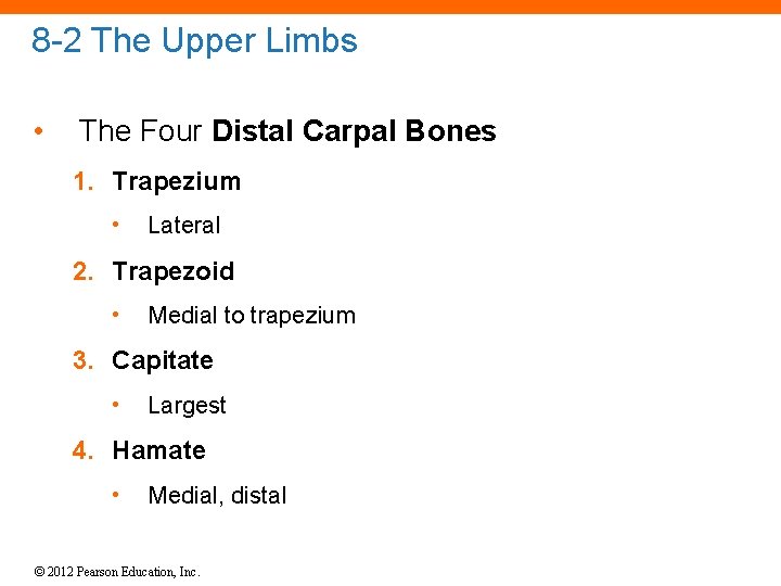 8 -2 The Upper Limbs • The Four Distal Carpal Bones 1. Trapezium •