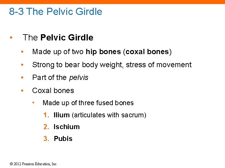 8 -3 The Pelvic Girdle • Made up of two hip bones (coxal bones)