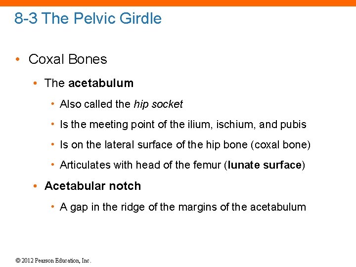 8 -3 The Pelvic Girdle • Coxal Bones • The acetabulum • Also called