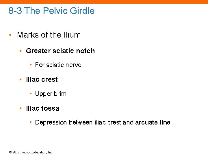 8 -3 The Pelvic Girdle • Marks of the Ilium • Greater sciatic notch