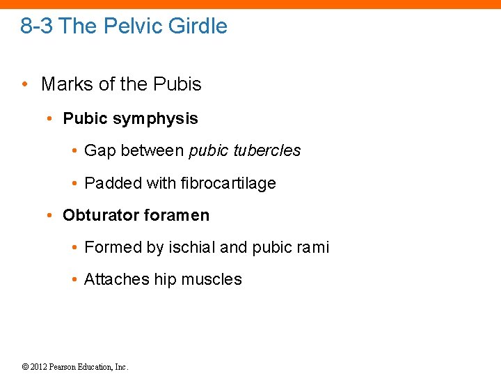 8 -3 The Pelvic Girdle • Marks of the Pubis • Pubic symphysis •