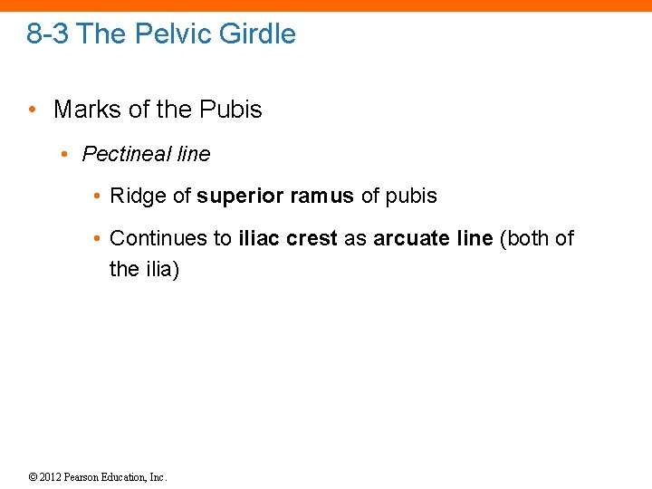 8 -3 The Pelvic Girdle • Marks of the Pubis • Pectineal line •