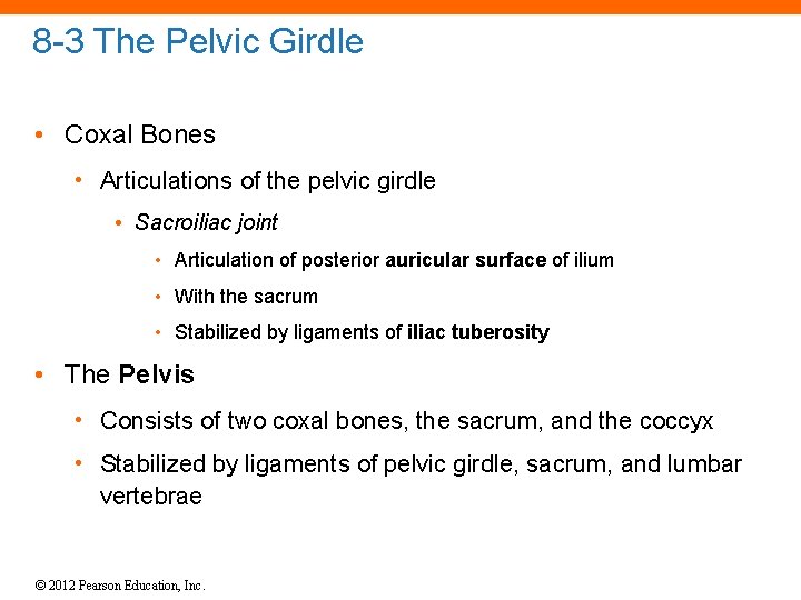 8 -3 The Pelvic Girdle • Coxal Bones • Articulations of the pelvic girdle