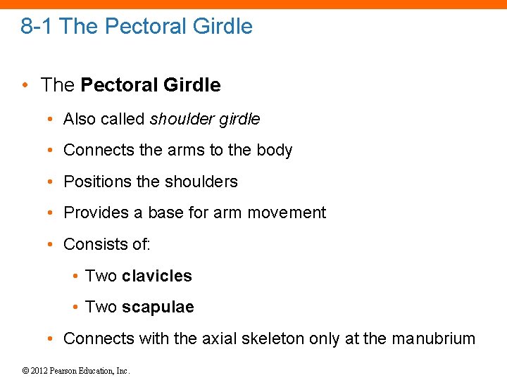 8 -1 The Pectoral Girdle • Also called shoulder girdle • Connects the arms