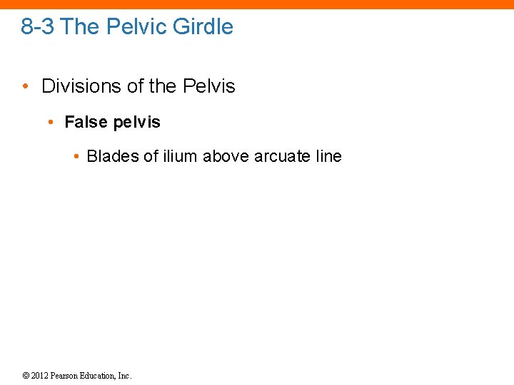 8 -3 The Pelvic Girdle • Divisions of the Pelvis • False pelvis •