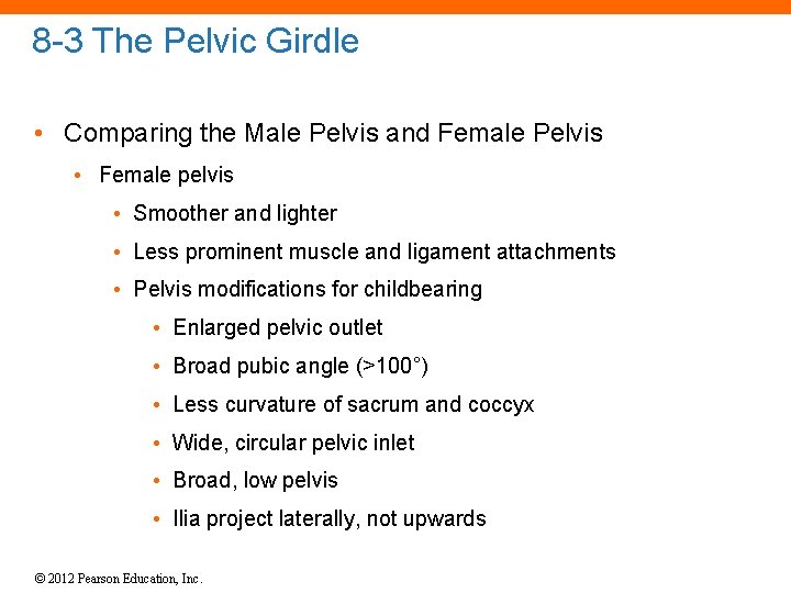 8 -3 The Pelvic Girdle • Comparing the Male Pelvis and Female Pelvis •