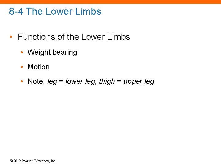 8 -4 The Lower Limbs • Functions of the Lower Limbs • Weight bearing